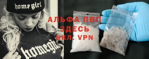 прущие крисы Белокуриха