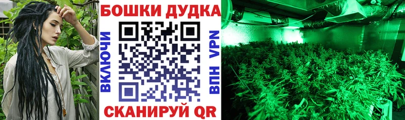 что такое   Санкт-Петербург  Бошки марихуана Bruce Banner 